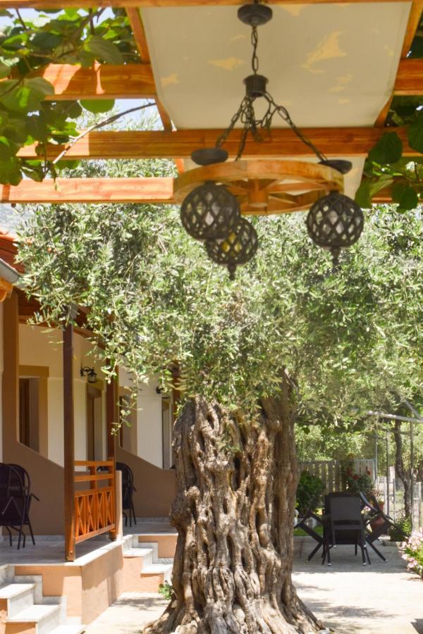 Kapsogeorgis Rooms Коинира Экстерьер фото